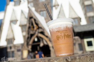 Wizarding World of Harry Potter Review