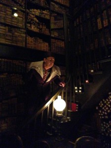 Wizarding World of Harry Potter Review