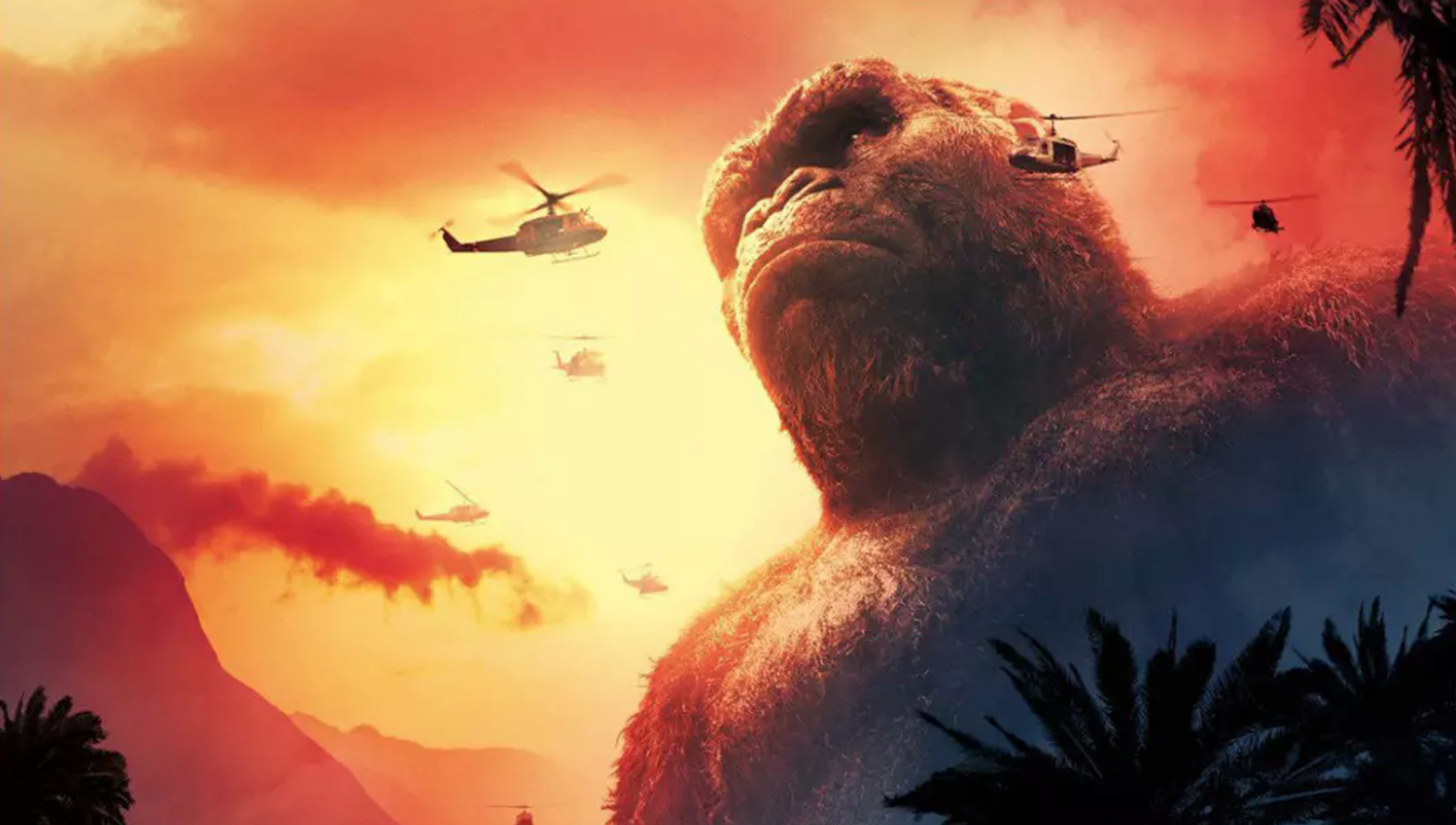 Kong