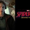 sadie sink stranger things max spider-man brand new day