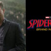 mark ruffalo avengers infinity war bruce banner spider-man brand new day