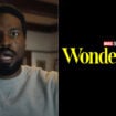 wonder man yahya abdul mateen II