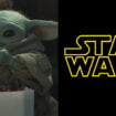 baby yoda the mandalorian and grogu